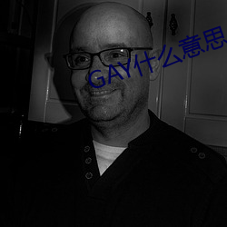 GAY什么(me)意思