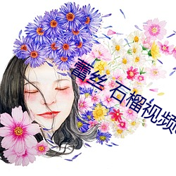 蕾丝 石榴视频apk