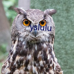 yslulu