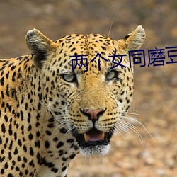 两个(個)女同磨豆(豆)腐高(高)潮(潮)大叫