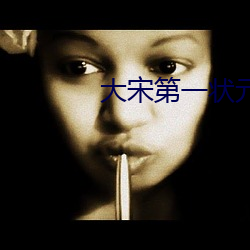 大宋第一状元郎 （疾风甚雨）