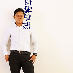 独臂将军的小公主