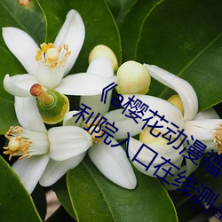 《a樱花(huā)动(dòng)漫福(fú)利院入口》a樱(yīng)花动漫(màn)福利院入口在线(xiàn)测量尺