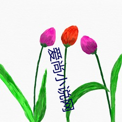 爱尚小说网