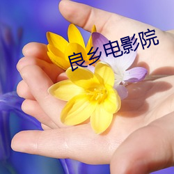 良乡电影院