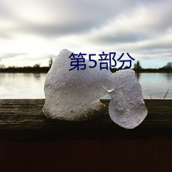 第(第)5部分(分)
