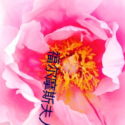 福尔(爾)摩斯(斯)夫(夫)人日常