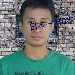 日本一a和本二a區別