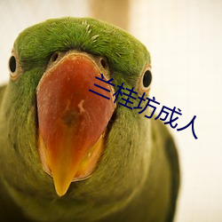 兰桂坊成人