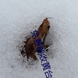 免(免)费能收黄(黃)台(台)的(的)直播APP