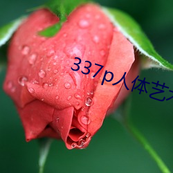 337p人体(tǐ)艺术(shù)