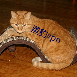 黑豹vpn