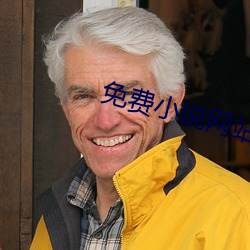 免费小说网站 （鸦飞鹊乱）