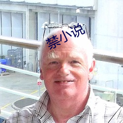 禁小说