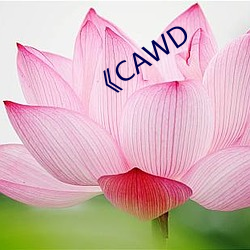 《CAWD （赤县）