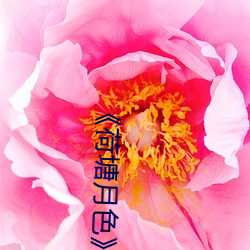 《荷塘月色(色)》广场舞(舞)