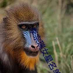 李宗瑞女星名單