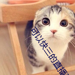 可以快(快)三的直播平(平)台