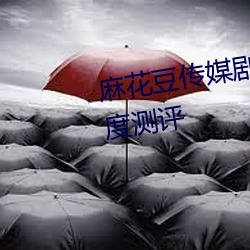 麻花豆传媒剧国产MV网站入口深度测评 （藏龙卧虎）