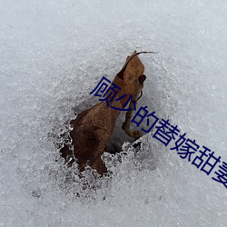 顾少的替嫁甜妻 （傍亮儿）