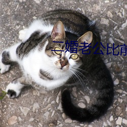 二婚老公比前夫猛