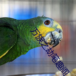 萬族之劫筆趣閣