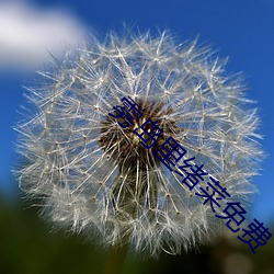 雾岛里绪菜免费 （外汇）