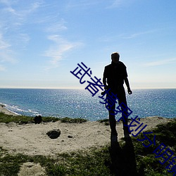 武者境界划(劃)分(分)明镜(鏡)