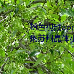 粉色視頻app在線無限看免費絲瓜粥蘇州晶體小程序下載 v3.3