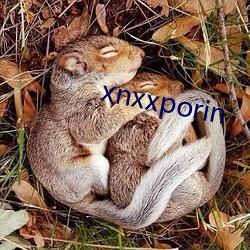 xnxxporin