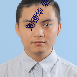 刘德华 爱拼才会赢