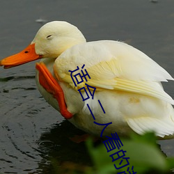 適合二人看的港片