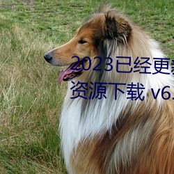 2023Ѿ²㺫溸Դ v6.56 