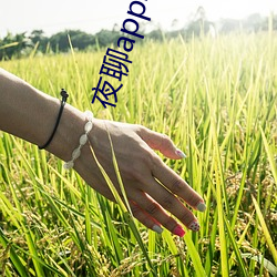 金年会 | 诚信至上金字招牌