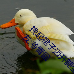 挽起裙子迈开腿坐下去的图片女孩重新开放!网友:爷青回
