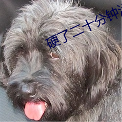 硬了二十分钟没进去就软了 （四面楚歌）