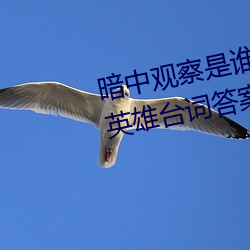 暗(àn)中观察是谁的台(tái)词 王(wáng)者荣(róng)耀(yào)猜英雄台词答(dá)案介绍