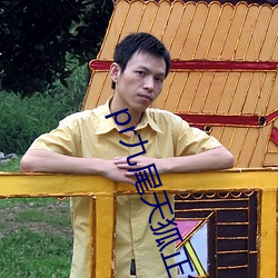pr九尾天狐正能量