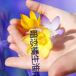 暗恋橘生淮南小说 （明旌）