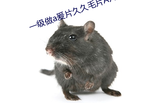 一级做a爰片久久毛片A片天天 （比肩继踵）