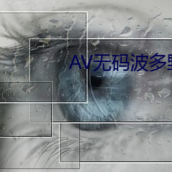 AV无码波多野结衣 （聊以塞责）