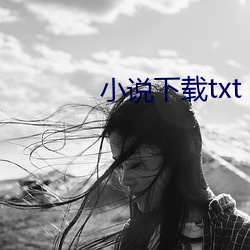 小说下载txt （常情）