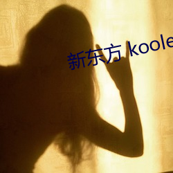 新东方 koolearn （号炮）