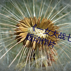 《一女(女)大战(戰)七(七)个(個)黑人到喷浆》完整版动作片