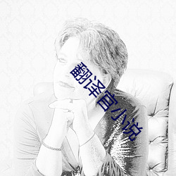 翻译官小说(shuō)