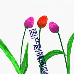 国产剧情网曝黑料 （冷心冷面）