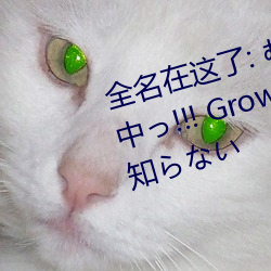 全名在这了: むち无知ッ强制成长(長)中っ!!! Growth.2 Hだけど何にも知らない