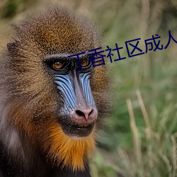 尊龙凯时-人生就是搏!