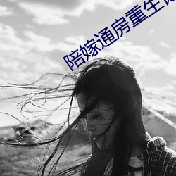 陪嫁通房重生记