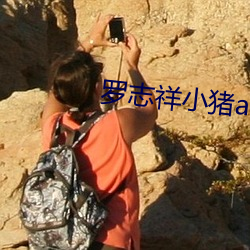 金年会 | 诚信至上金字招牌